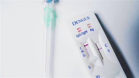 Dengue Test Kits: Reliable Diagnostic Tools for Early 